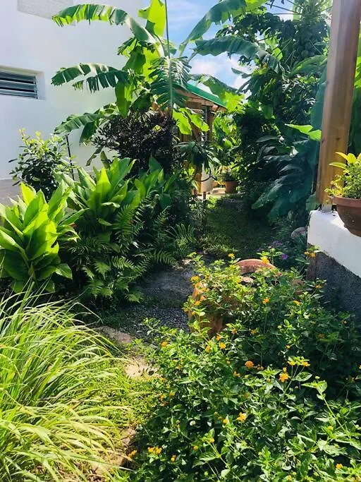 Holiday home Au Coeur Des Montagnes Villa Capesterre-Belle-Eau Guadeloupe